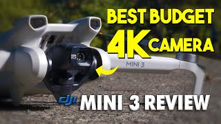 DJI Mini 3 Long Term Review Best Budget 4K Camera Drone [upl. by Mag]