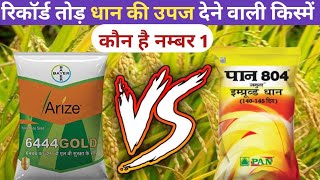 रिकॉर्ड तोड धान की उपज देने वाली किस्में  arize 6444 gold Vs pan 804 jamuna  seed of paddy [upl. by Schramke]