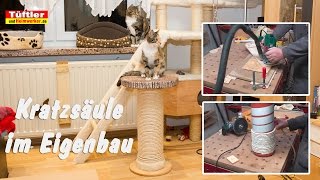 Kratzsäule für Katzen selber bauen [upl. by Letizia]