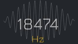 1Hz to 22000Hz frequency generator human audio spectrum suara pembersih speaker hp [upl. by Bertsche]