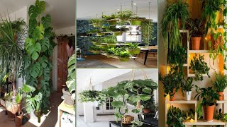 hanging plant trees pot idea indoor gardening ideas indoorplantshangingvirl [upl. by Daenis117]