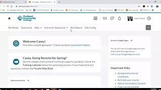 D2L Brightspace Accelerated BasicsCasey Twining [upl. by Barnum]