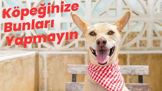 Köpeğinize Bunları Yapmayın [upl. by Nihsfa]