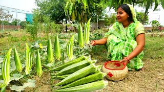 🌞सुबह सुबह काम निपटाने के बाद अगर भिंडी का स्वादिस्ट भरवा खाने को मिल जाता है तो दिल खुश हो जाता है [upl. by Dahsraf]