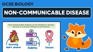 Noncommunicable Disease  GCSE Biology [upl. by Pate]