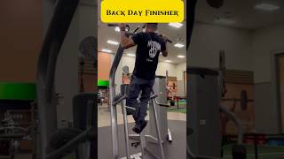 How To Build Your Back shorts shortvideo shortsvideo gym exercise fitness bodybuilding [upl. by Anelhtac59]