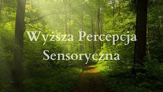 78 Wyższa Percepcja Sensoryczna [upl. by Mientao784]