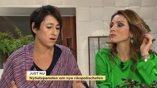 Sverigedemokraterna delar Nyhetspanelen i två läger  Nyhetsmorgon TV4 [upl. by Blanch]