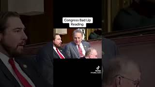 Bad Lip Reading Congress Compilation 2024 [upl. by Raman568]