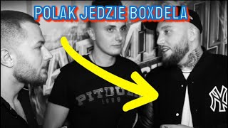 ADRIAN POLAK OSTRO JEDZIE PO BOXDELU NA WYWIADZIE [upl. by Longwood]