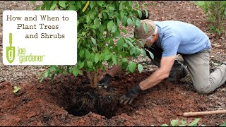 How and When to Plant Trees and Shrubs [upl. by Ahsuatan]