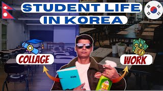 Student Life in South Korea [upl. by Ecila337]