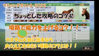 ウイニングポスト９・２０２２【ちょっとした攻略のコツ㊷】坂路で能力を上げるコツ！！ [upl. by Jacie]