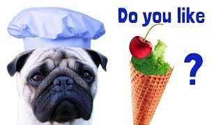 Do you like broccoli ice cream song with dog [upl. by Ehcor]