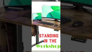 Are Standing Desks Overrated My 1 Month Review diy [upl. by Eidahs]