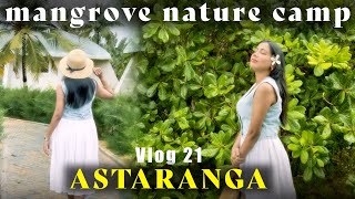 Vlog 21 Day 1 at Mangrove Retreat Luxury Nature Camp Odisha [upl. by Eugeniusz]