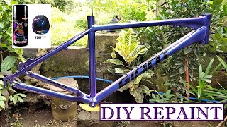 DIY Bike Frame Repaint samurai [upl. by Nylinej]