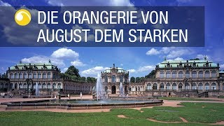 Dresdner Zwinger  Gärten in Sachsen  Schlösserland Sachsen [upl. by Rehpoitsirhc]