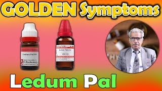 Golden Symptoms of LEDUM PAL 30200  Dr P S Tiwari [upl. by Roban]