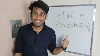 Learn What is Acetabulum   Acetabulum  The Hip Joints Crucial Part  in Biology [upl. by Atinnek510]