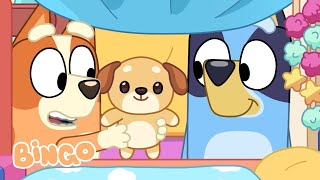 Family Time with Bingo 🧡  Best Bluey and Bingo Family Moments  Bingo  Official Channel [upl. by Narine155]