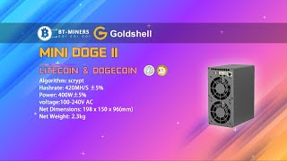 Goldshell MINI DOGE II DOGE amp LTC Miner Setup [upl. by Theresita918]