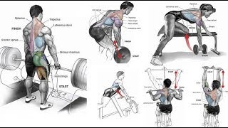 15 TOP BACK EXERCICES  Meilleurs exercices pour le dos [upl. by Holsworth]