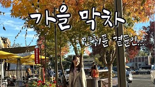 단풍구경하러 나파밸리 🇺🇸 로컬들만 아는 유럽대저택 분위기 와이너리  나파밸리 맛집  StHelena 다운타운  Sterling Winery  Ledson Winery [upl. by Attenyt]