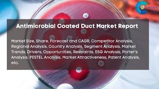 Antimicrobial Coated Duct Market Report 2024 Forecast Market Size amp Growth [upl. by Ataynek]