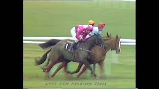 1991 ASW Handicap Chase [upl. by Devina648]