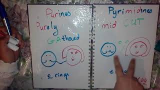 Purines Pyrimidines Mnemonic [upl. by Ednalrim36]