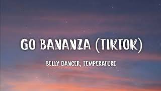 Bananza Belly Dancer x Neon Park TikTok Mashup Lyrics quotJust wanna see you touch the groundquot [upl. by Aile240]