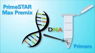 High Fidelity and FAST PCR  PrimeSTAR Premix from Takara Bio [upl. by Otcefrep420]