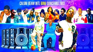 Dancehall Mix 2024  New Dancehall Songs 2024  Dip  TeejayTommy LeeBaykaVybz kartelValiant [upl. by Montford]