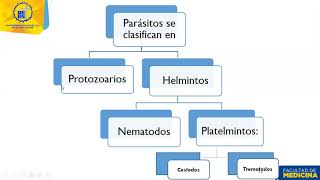 Clase 45 Generalidades de parásitos [upl. by Gut]