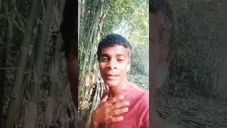 suter Kab Banega comedy funny viralvideo shortvideo attitude trending [upl. by Gonyea]