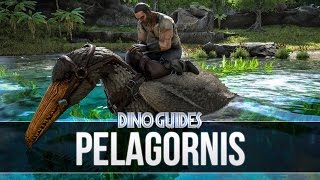 ARK Survival Evolved  Pelagornis Guide Behaviour Statistics and Functionality [upl. by Chen]