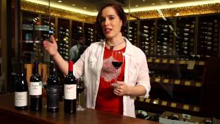 Pinot Noir Merlot Cabernet Sauvignon Shiraz Syrah  Red Wine Guide [upl. by Arihsaj848]