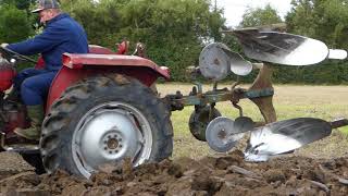 MASSEY FERGUSON 135 amp RANSOMES TS80 SINGLE FURROW PLOUGH [upl. by Carly276]