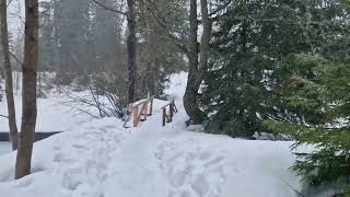 VYSOKÉ TATRY ŠTRBSKÉ PLESO JAZIERKO [upl. by Nawoj439]