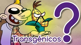 ¿Los transgénicos son peligrosos [upl. by Neillij663]