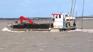 Oléron Ostréicole Un chaland qui rentre au port dArceau [upl. by Cardew]