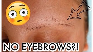 WHY ARE MY EYEBROWS FALLING OUT  Eyebrow Update [upl. by Asira]