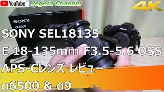 SONY SEL18135 E 18135mm F3556 OSS APSCレンズ レビュー α6500 amp α9（4K） [upl. by Ainit]