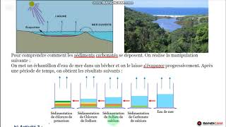 La sédimentationLa formation des dépôts chimiques amp biochimiquesPartie 2 [upl. by Noiz]