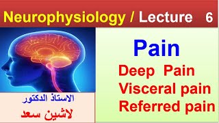 Neurophysiologydeep painvisceral pain referred pain Lashin دلاشين [upl. by Perlis]