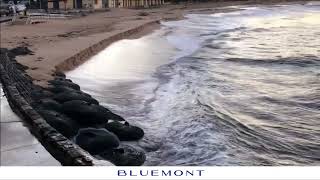 Rock Bags prevent erosion on Collaroy Beach [upl. by Satterfield]