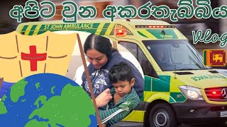 අපිට වුන අකරතැබ්බිය 😢  සිංහල VLOG 35  New Zealand  Sri Lankan  Sinhala vlog [upl. by Ahsilla]