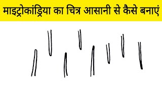 माइट्रोकांड्रिया का चित्र आसानी से कैसे बनाएं  Easy way to Draw Mitochondria step by step [upl. by Annodas]