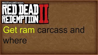 Red dead redemption 2 how to get and find perfect RAM carcass and where [upl. by Kelcy]